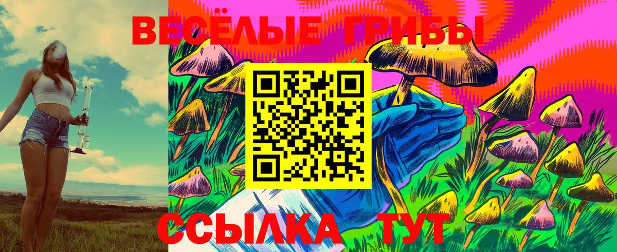 Бийск  Псилоцибиновые грибы Psilocybine cubensis  Вход с VPN 